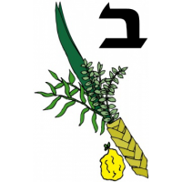 Beis (Super Deluxe) Set